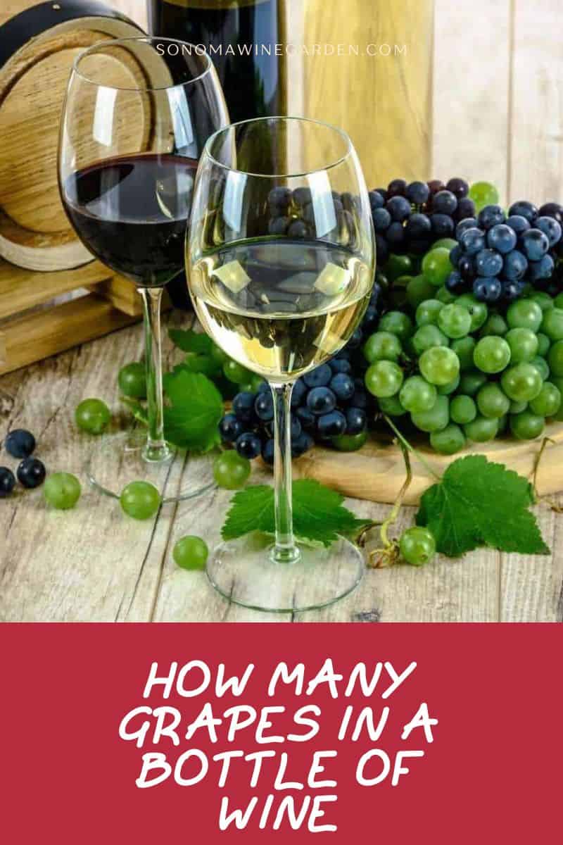 How Many Grapes in a Bottle of Wine