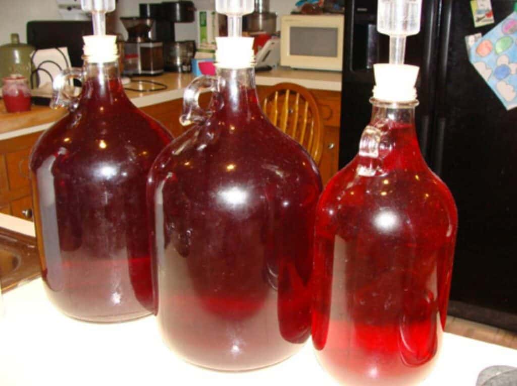 20 Fun and Easy Muscadine Wine Recipes