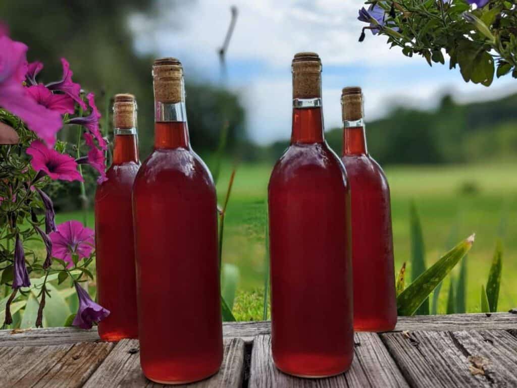 20 Fun and Easy Muscadine Wine Recipes