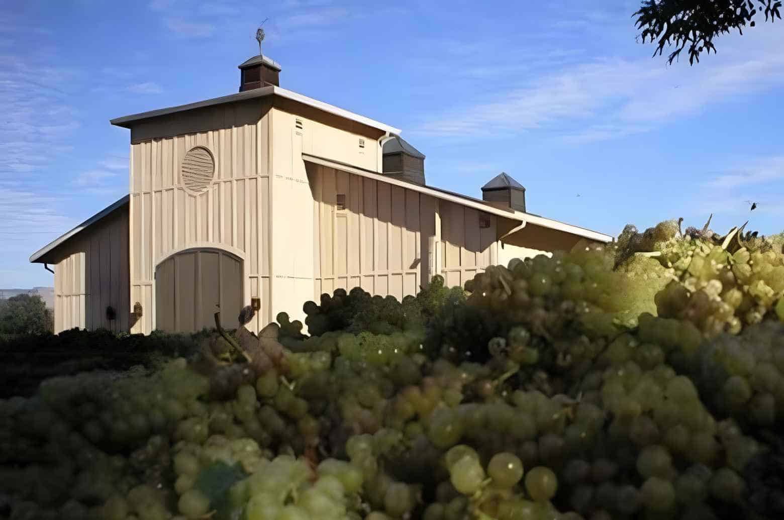 Best Wineries in Carmel Valley, CA Massa Estate Organic Vineyards