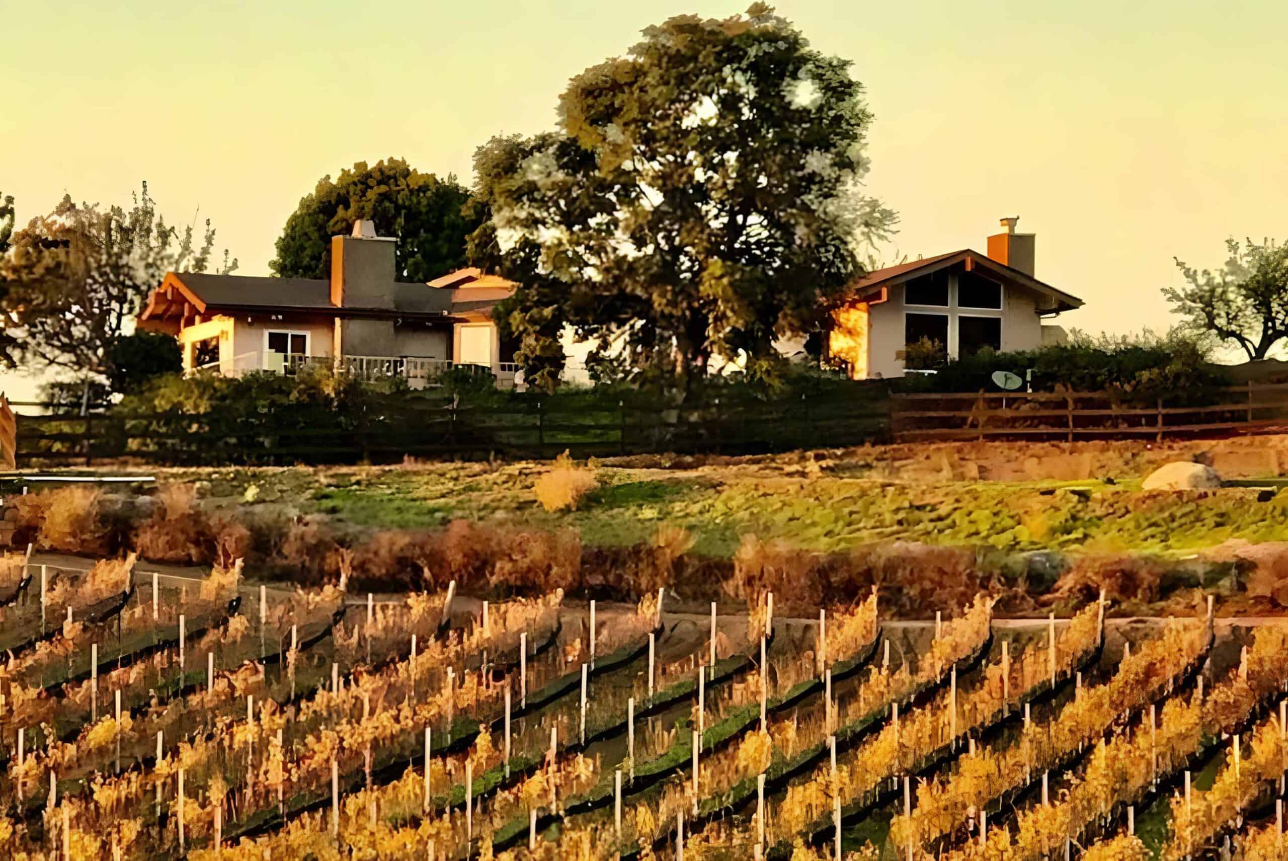 Best Wineries in Escondido, CA