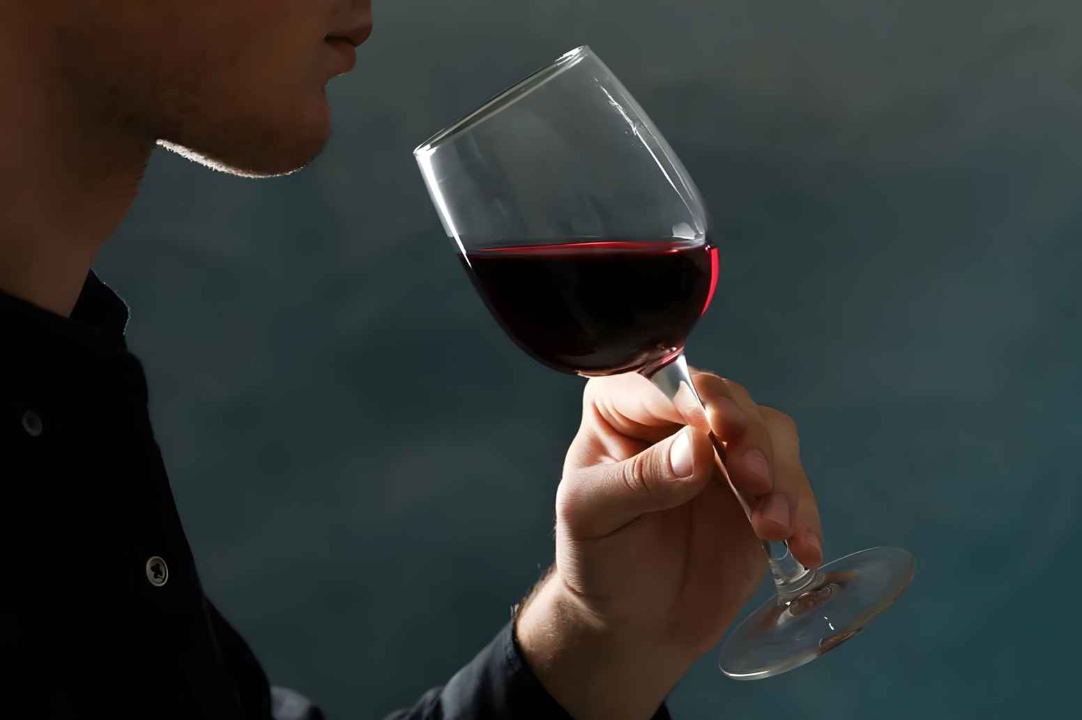 How to Drink Wine Properly A Guide for Beginners