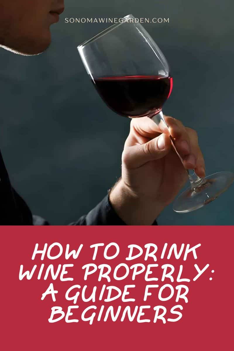 How to Drink Wine