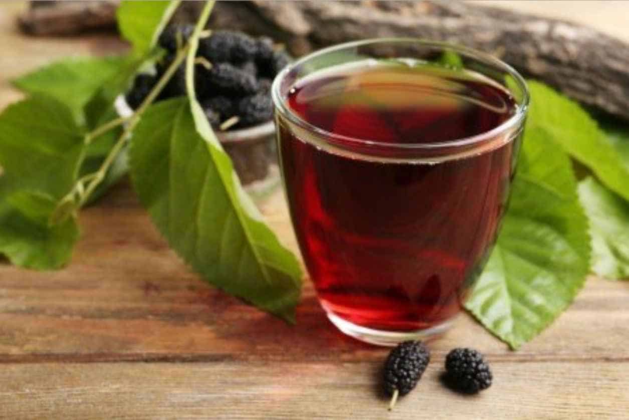 Mulberry Wine (Recipe of Health)
