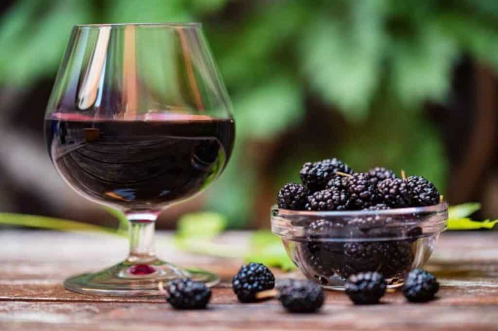 15 Mulberry Wine Recipes You Can Follow At Ease