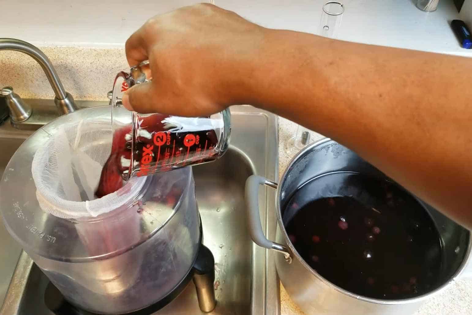 Once the blueberry juice has cooled down, you can transfer it to a fermenter jug using a strainer cloth so the berries will be blocked from it