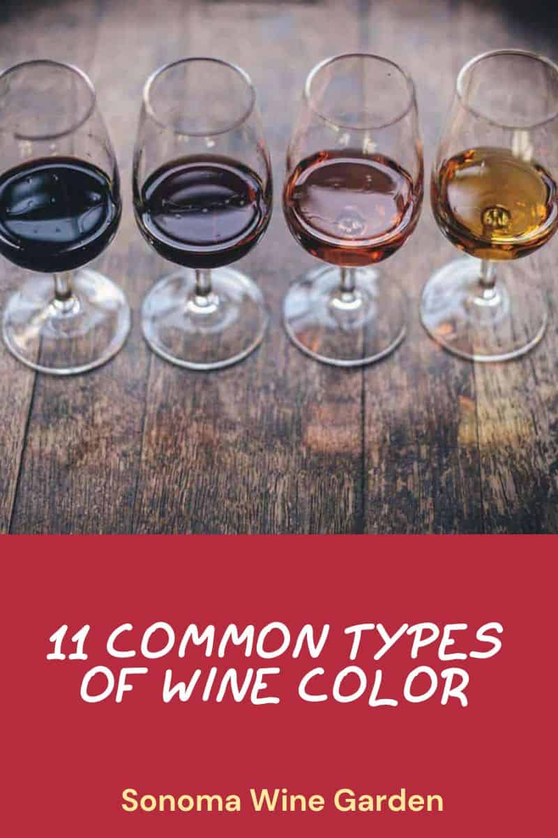 Types of Wine Color