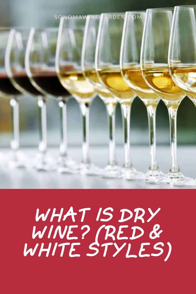 What Is Dry Wine