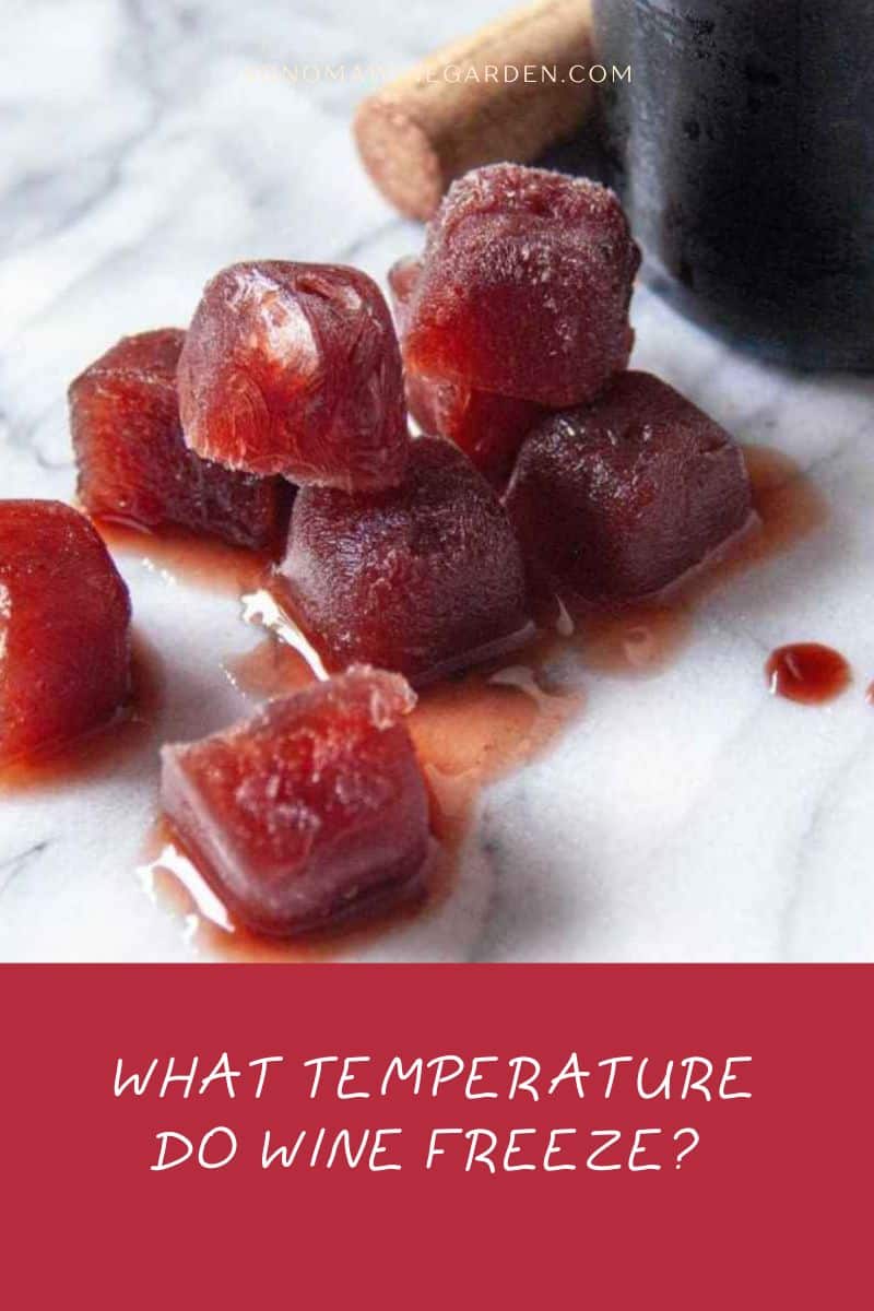What Temperature Do Wine Freeze (Chart)