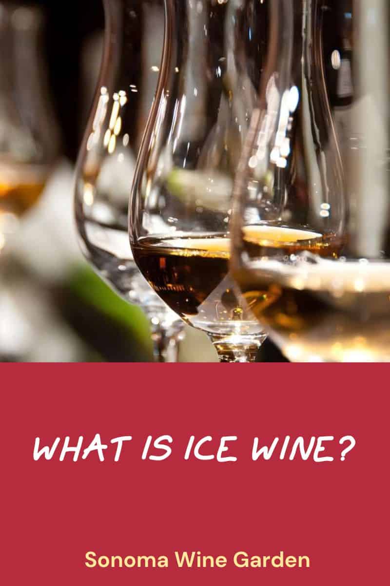 What is Ice Wine