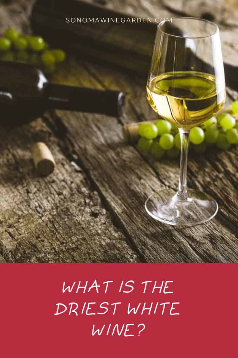 What is the Driest White Wine