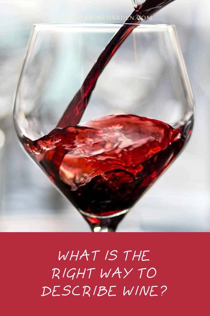 What is the Right Way to Describe Wine