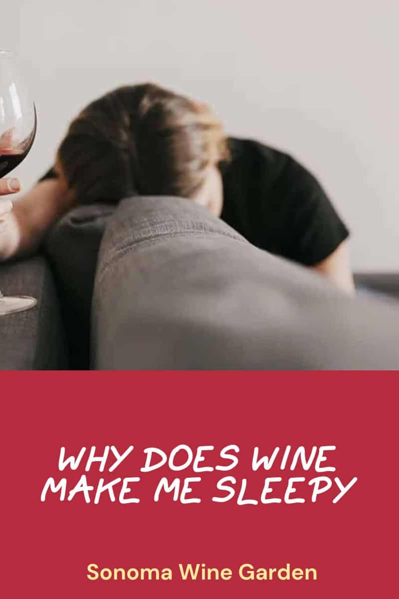 Why Does Wine Make Me Sleepy