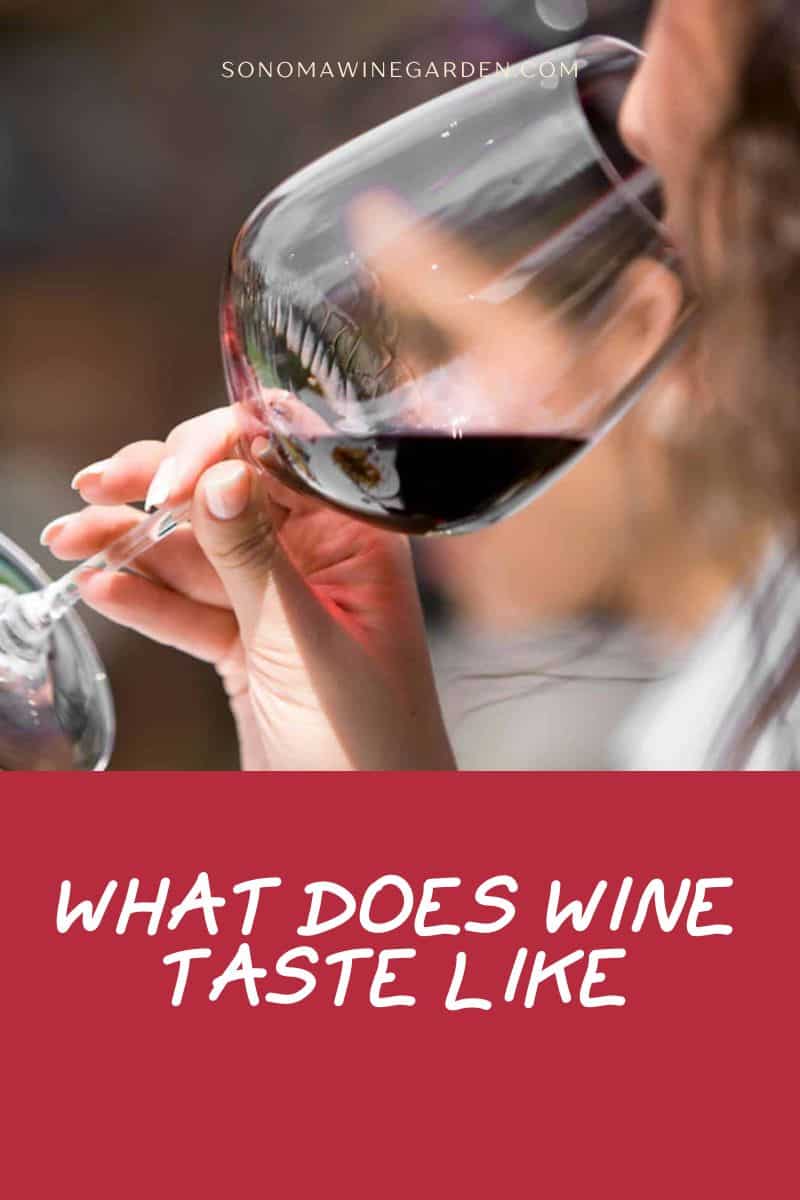 Wine Taste Like