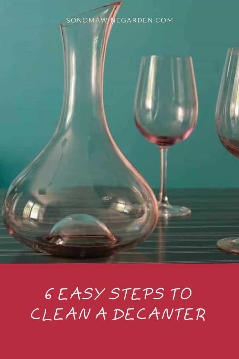6 Easy Steps to Clean a Decanter (Step-by-Step Guide)