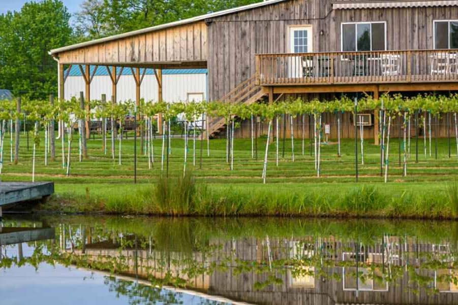 Best Winerie in Indiana to Visit At the Barn Winery