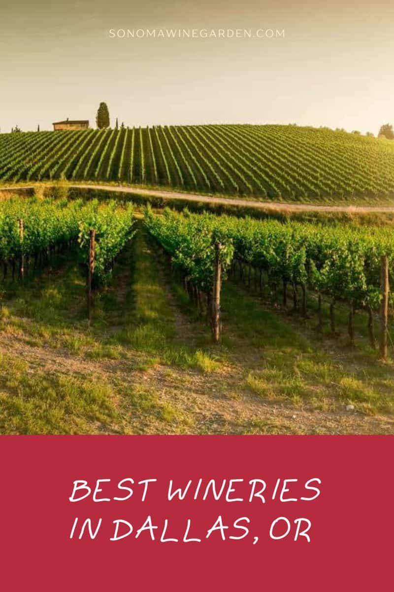 Best Wineries in Dallas, OR
