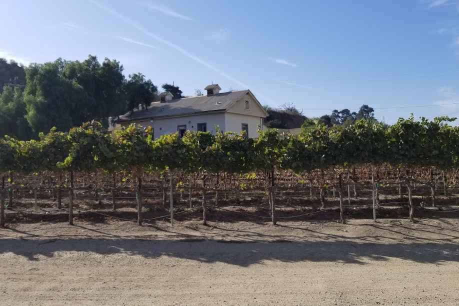 Best Wineries of Monterey County Pessagno Winery