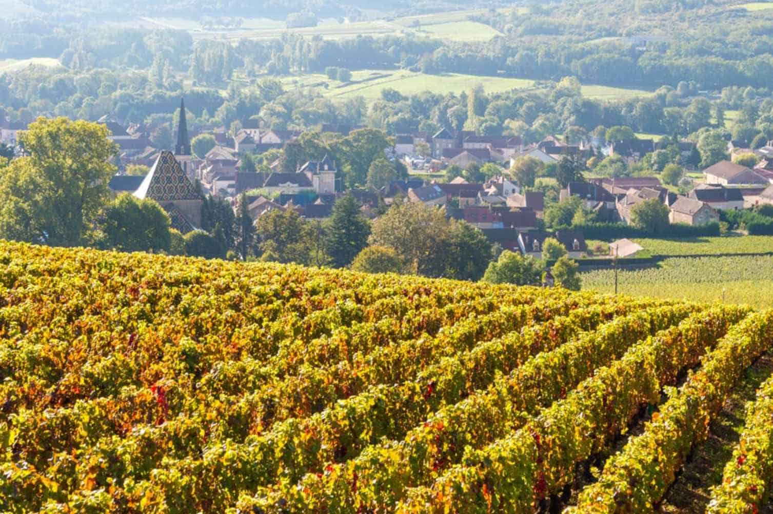 Burgundy's Fastest Growing Sub-regions
