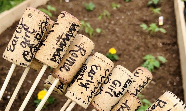 DIY Wine Cork Garden Markers