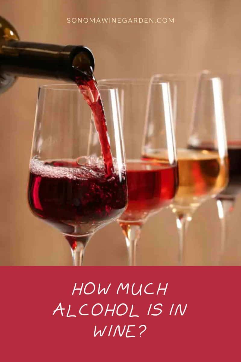 How Much Alcohol is in Wine