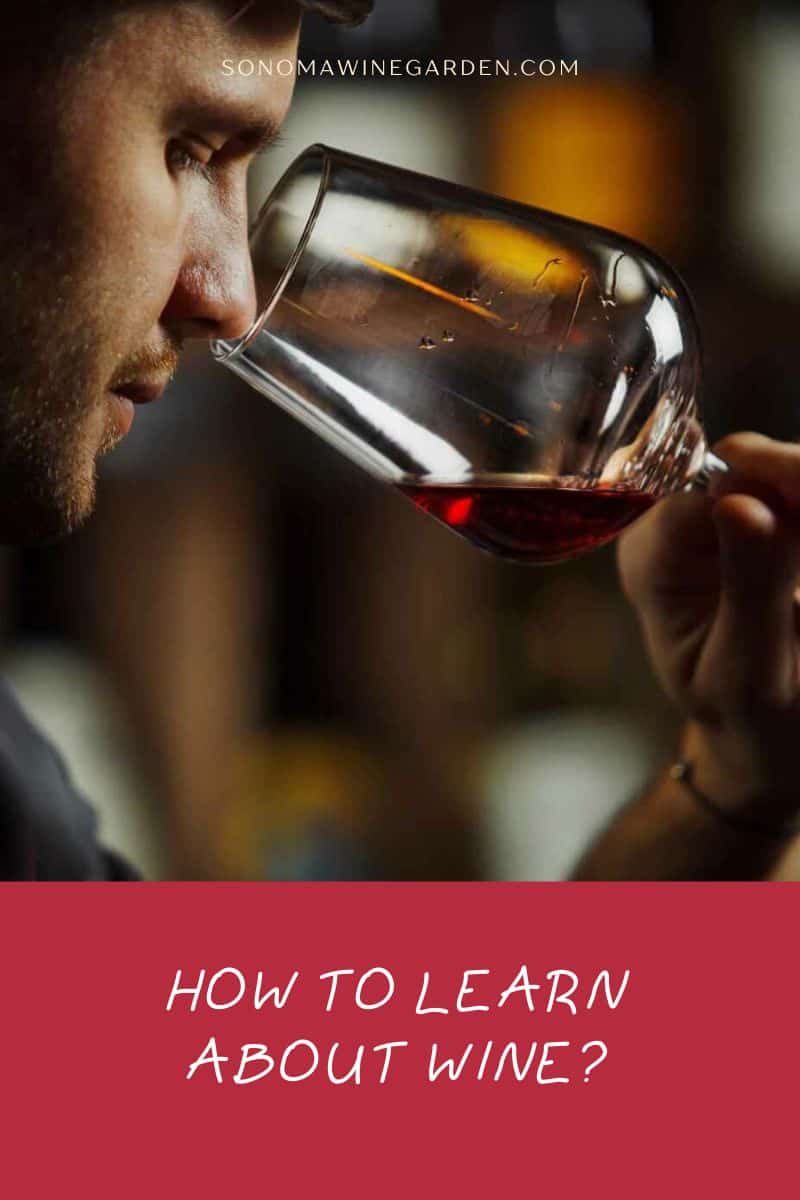 How to Learn About Wine (Beginner's Guide)