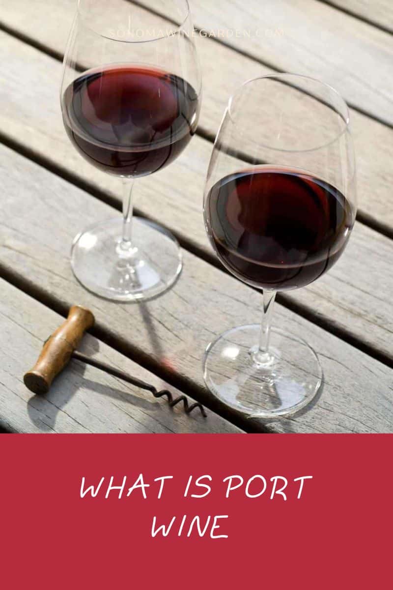Port Wine History, Making-Process, Styles, & Food Pairings