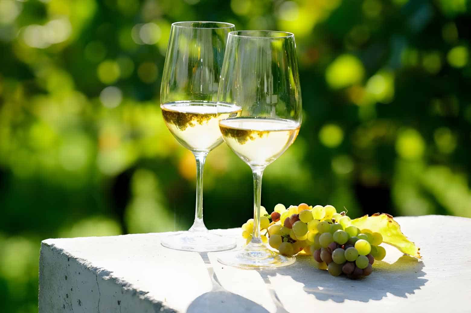 What Is Riesling Wine (Facts, Trivias, & Food Pairings)