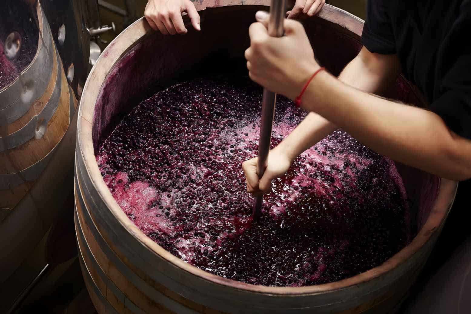 What Is the Wine Fermentation Process