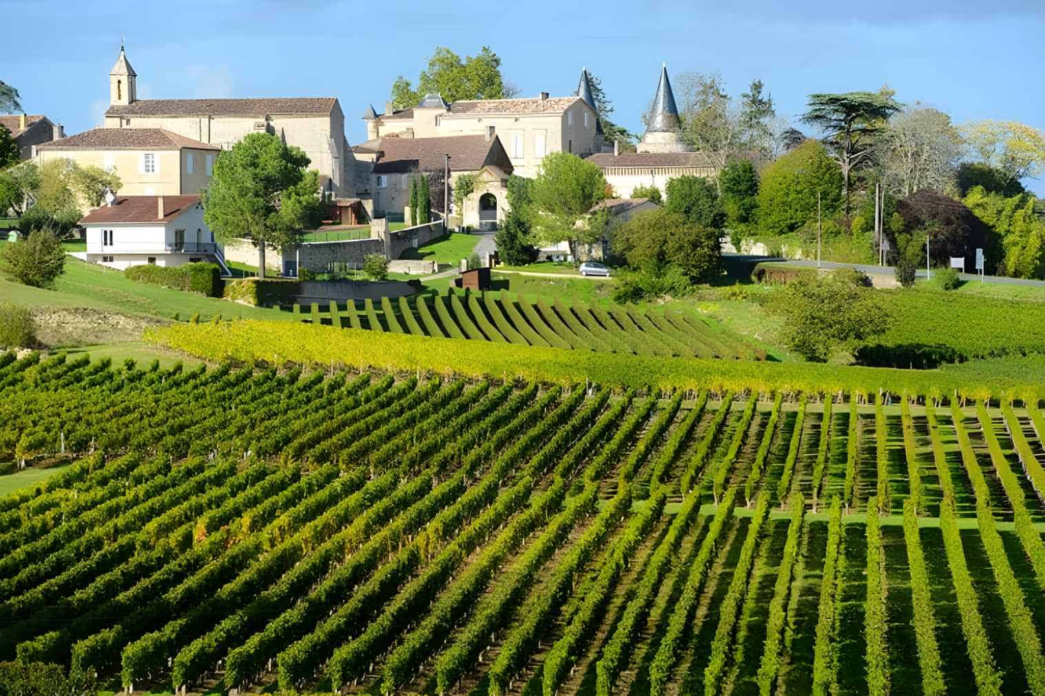 Where Does Bordeaux Wine Come From