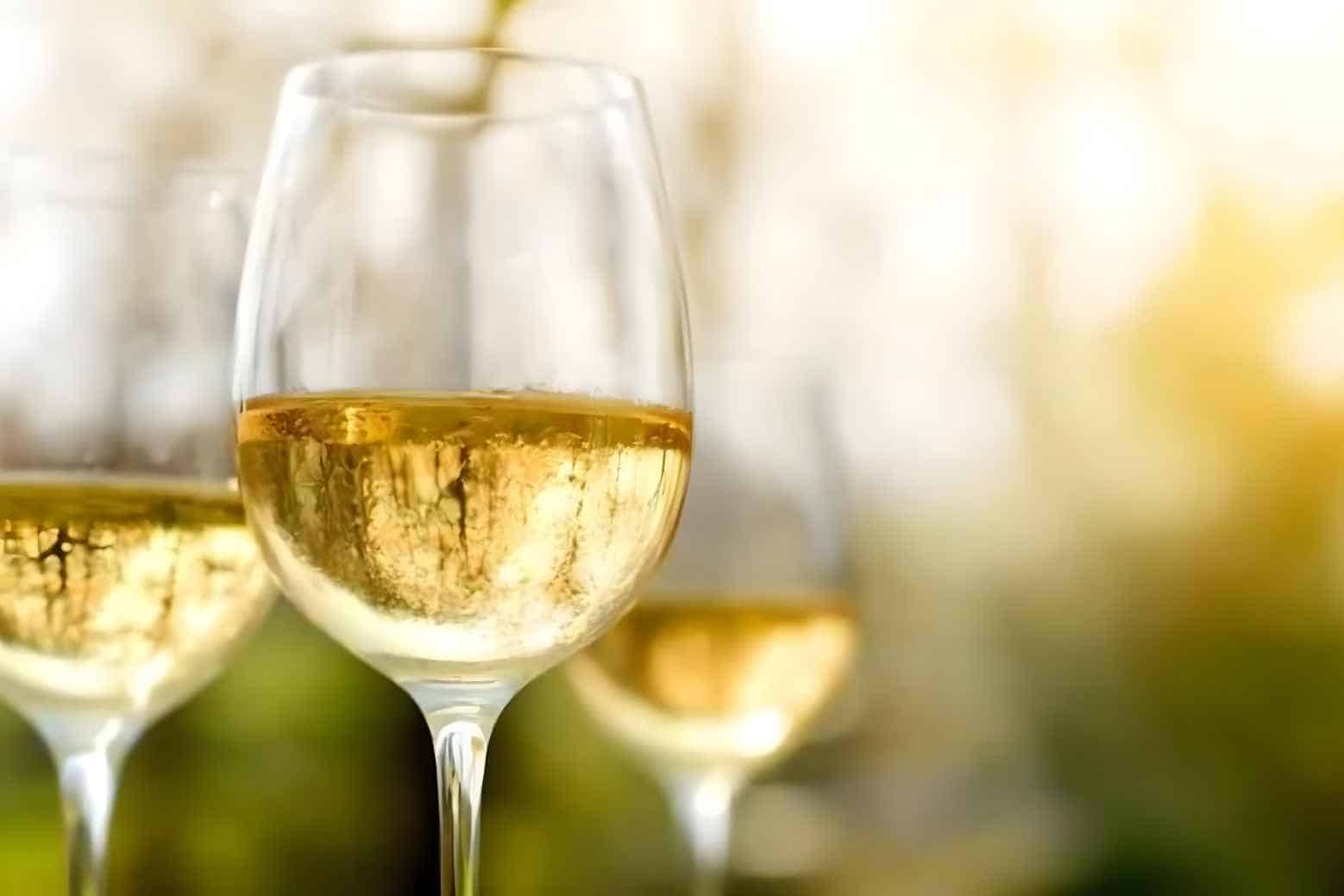 Albarino Wine Guide History, Appearance, Taste, Serve, Pairing