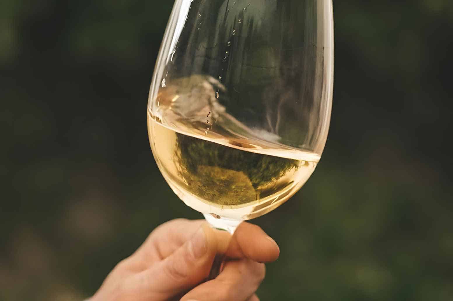 Albarino wine Appearance And Aroma