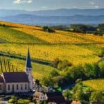 10 Best French Wine Regions