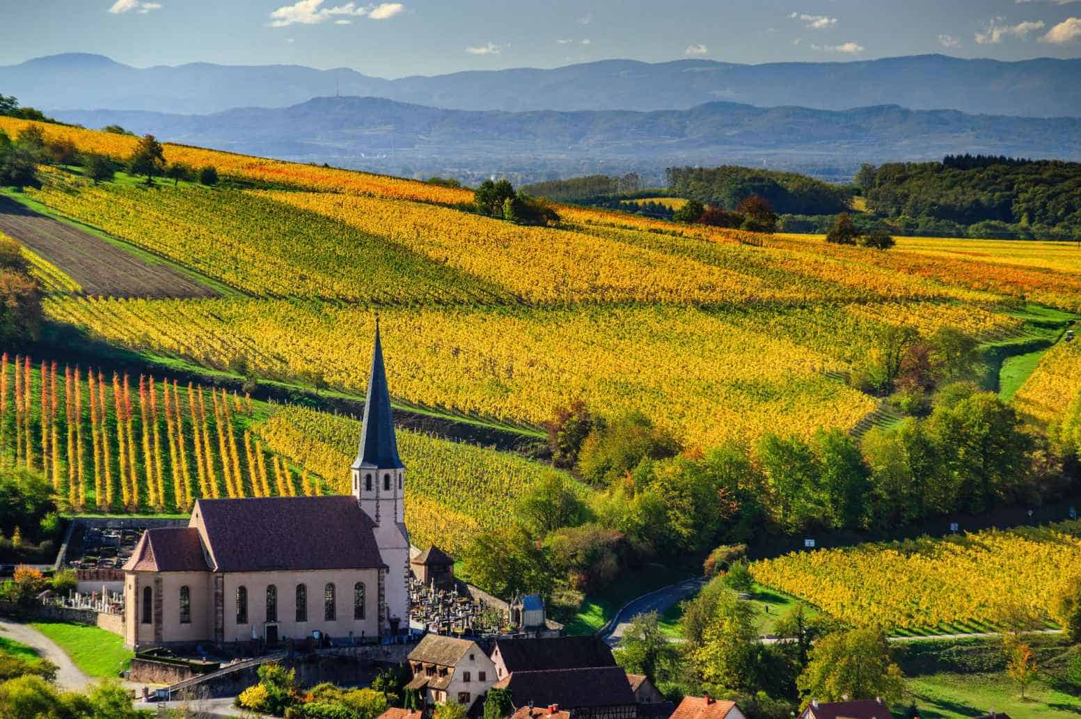 Best French Wine Regions