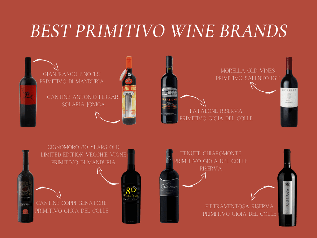 Best Primitivo Wines