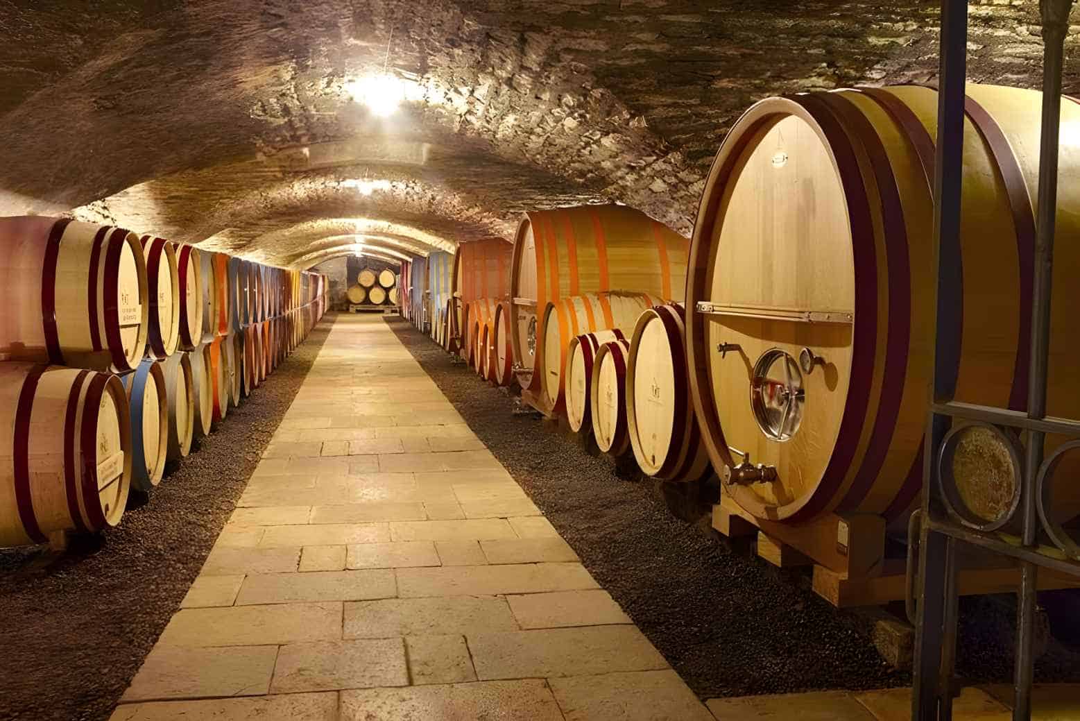 How is Montrachet Wine Made