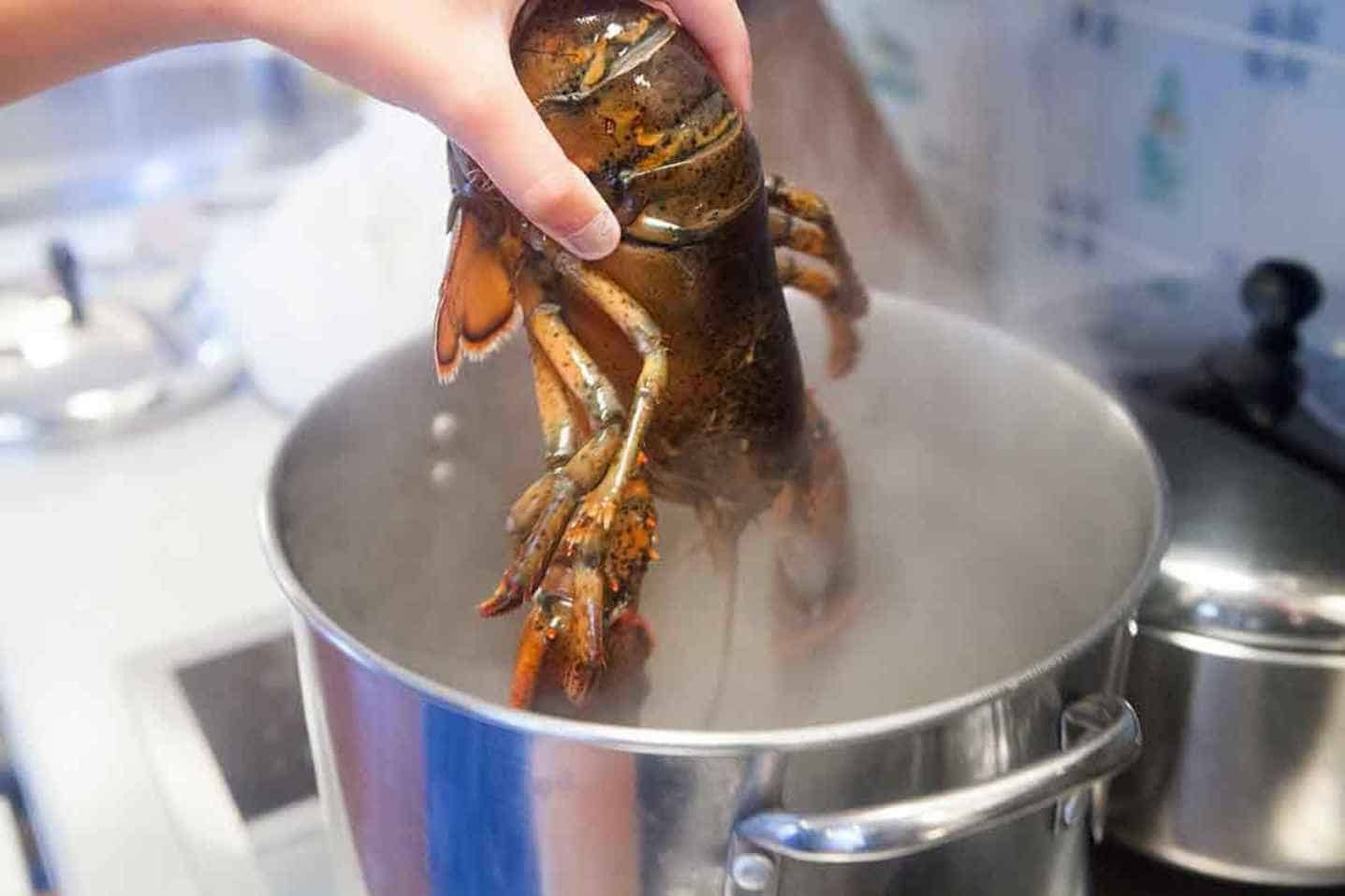 How is your Lobster Cooked
