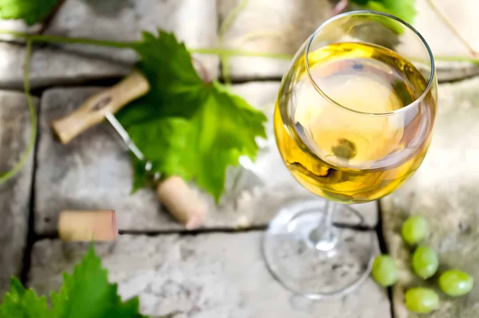 How to Enjoy the Sauvignon Blanc