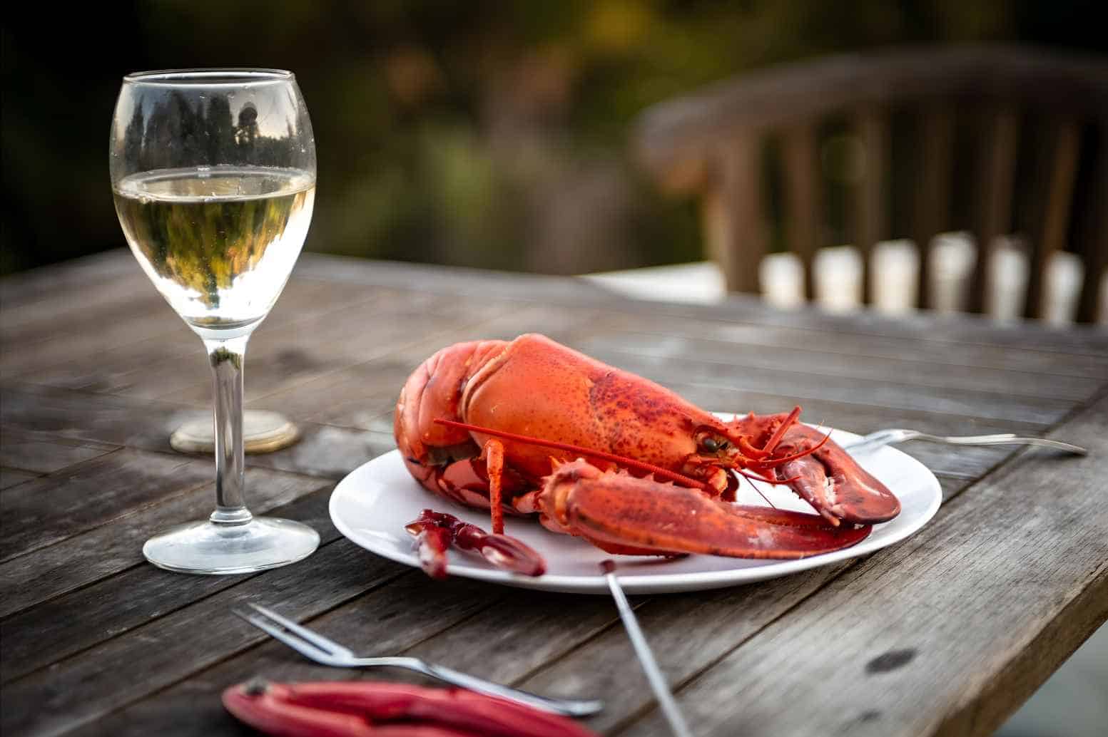 Lobster and Wines Finding the Perfect Pairing