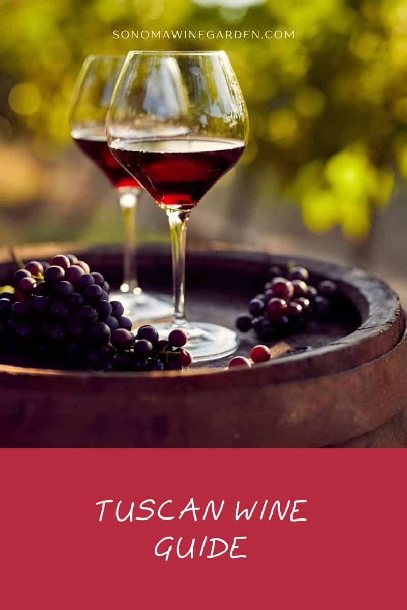 Tuscan Wine Guide History, Taste & Drinking Tips