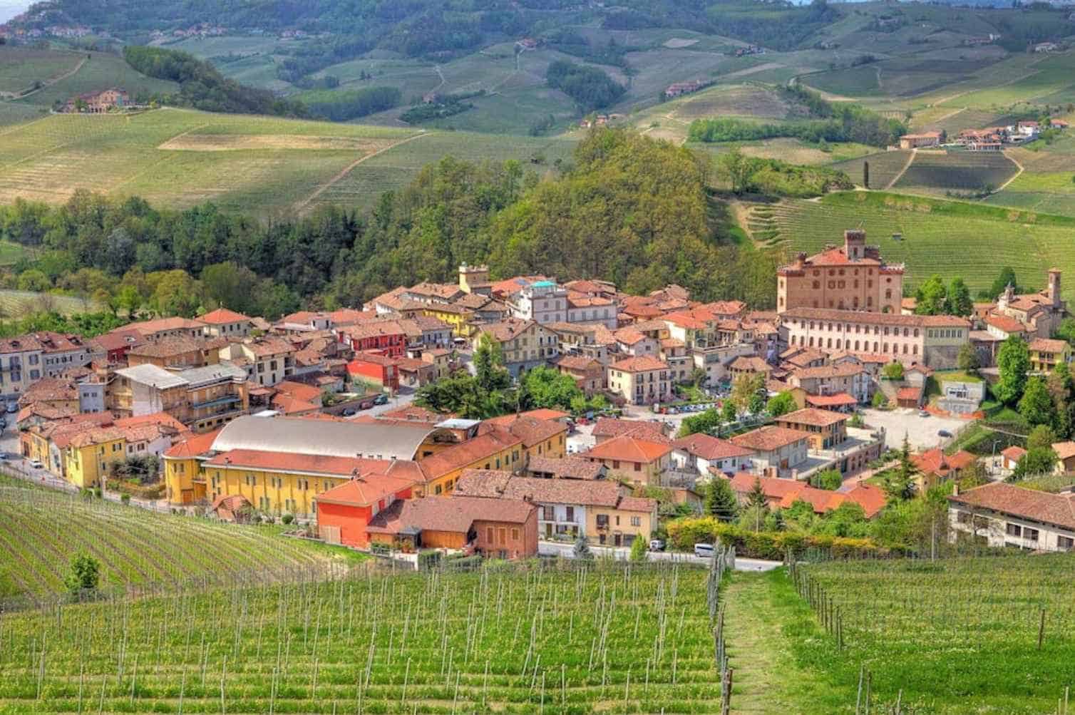 What is the History of the Barolo Wine