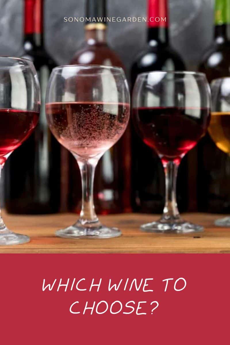 Which Wine to Choose (Basics, Tips, and Alcohol Guide)