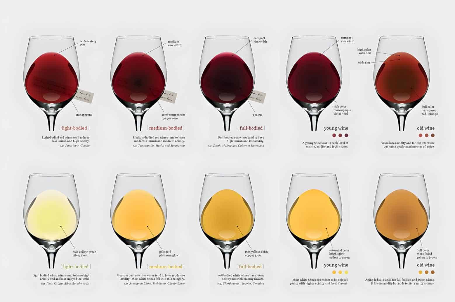Wine Body Classification