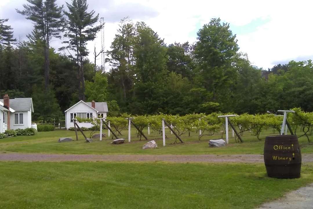Wineries in Vermont