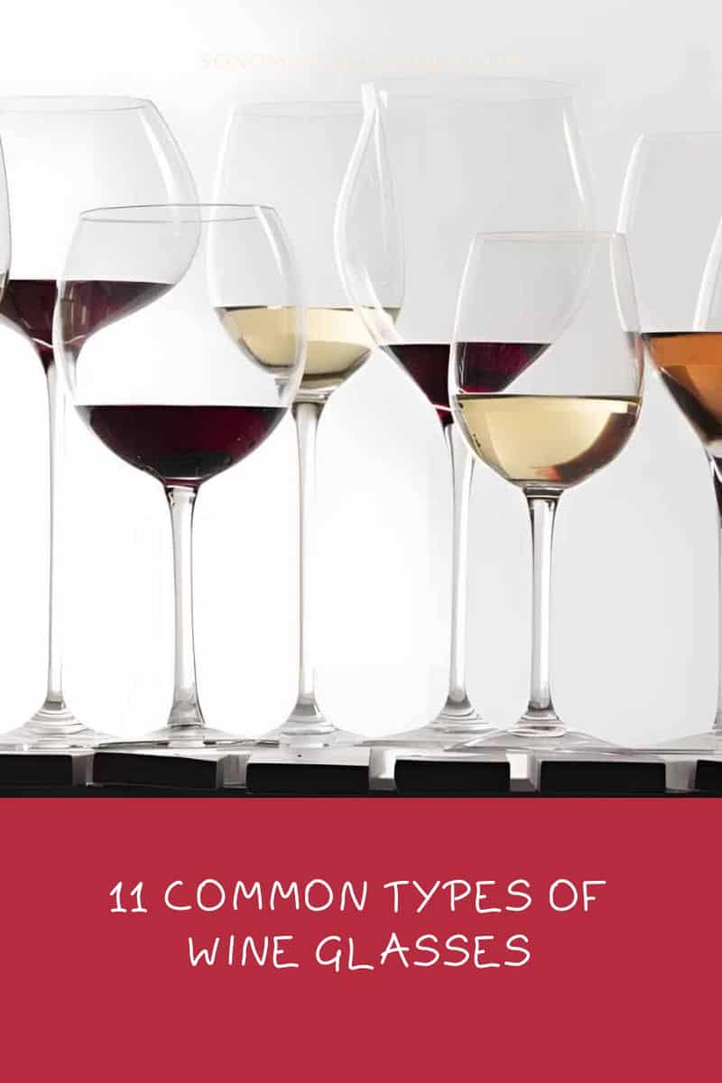 11 Common Types of Wine Glasses (Choose the Best Wine Glass)