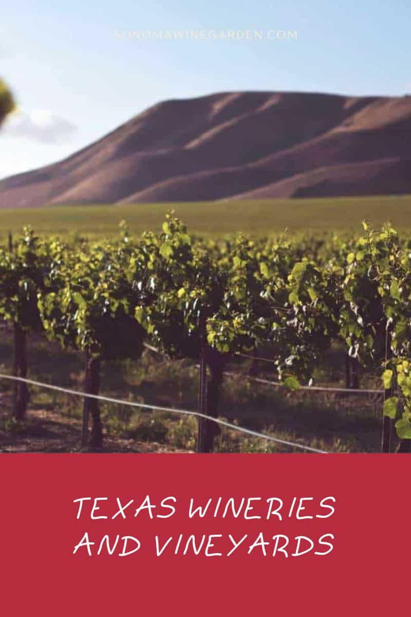 12 Best Texas Wineries and Vineyards