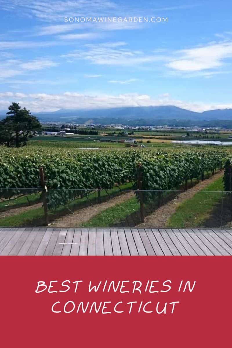 15 Best Wineries in Connecticut (Photos, Reviews, Maps)