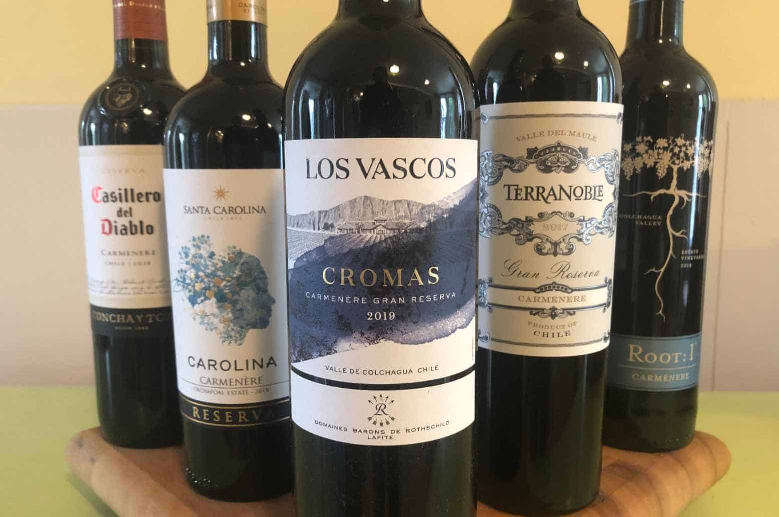 Best Chilean Carmenere Wine Brands