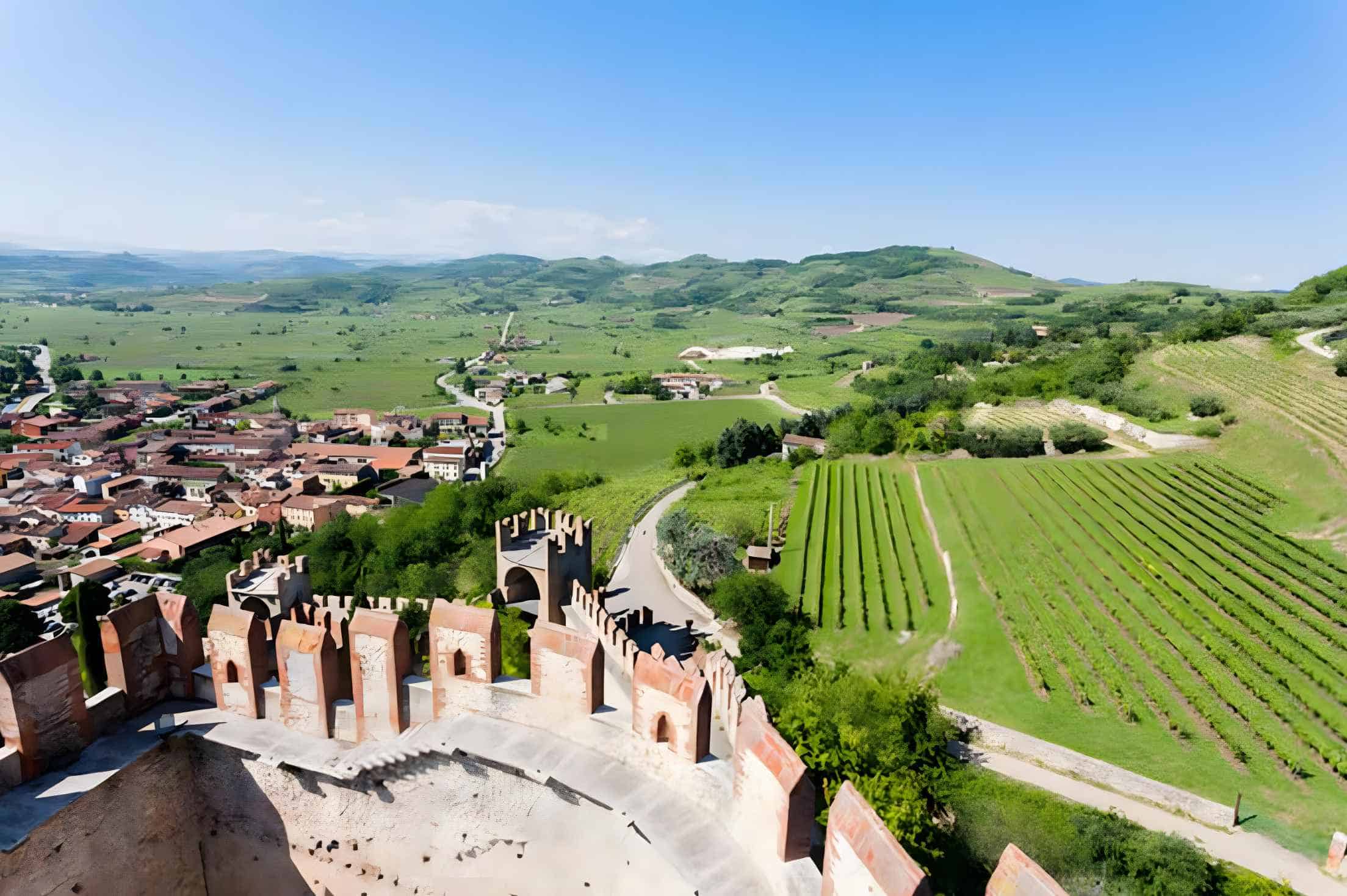 Brief History of the Soave Wine