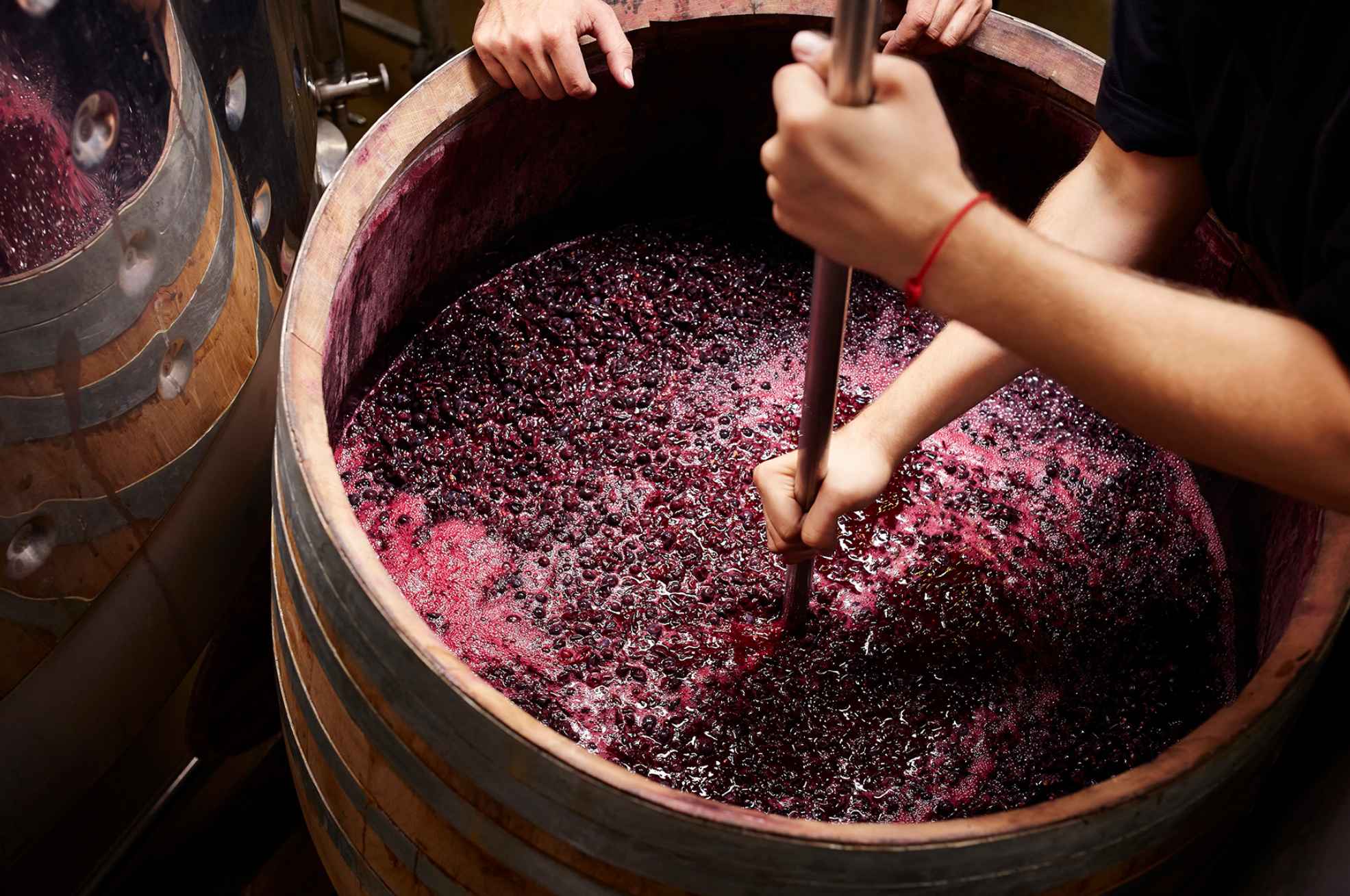 How Wine is Made The Art Of Winemaking